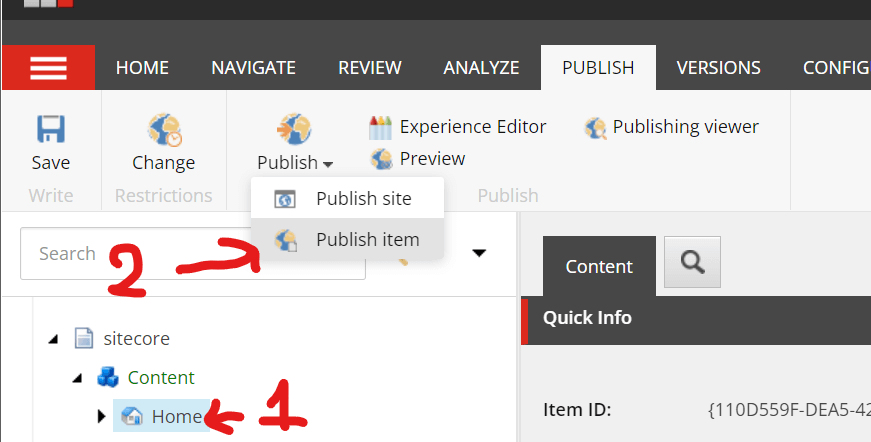 publish item sitecore